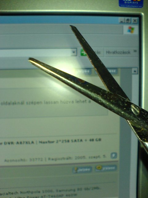 Csatolt k�p: post-10-1143231389.jpg