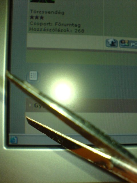 Csatolt k�p: post-10-1143231407.jpg