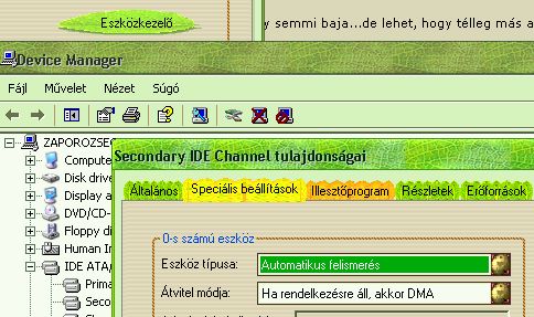 Csatolt k�p: post-10-1162764451.jpg