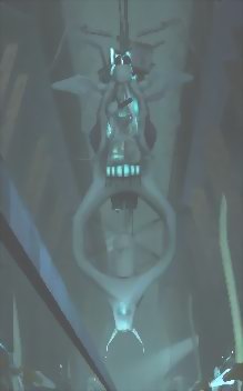 Csatolt k�p: post-16-1105905593.jpg