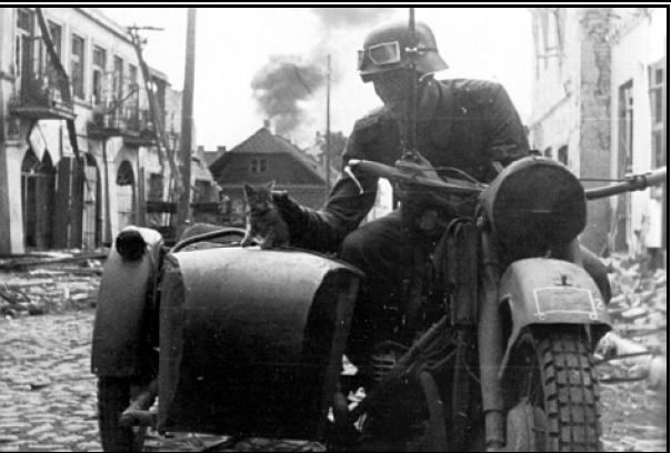 Csatolt k�p: post-16-1181401422.jpg