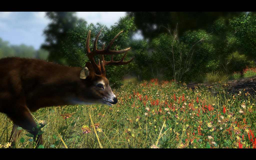 Csatolt k�p: post-62-1255802170.jpg